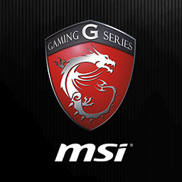 MSI